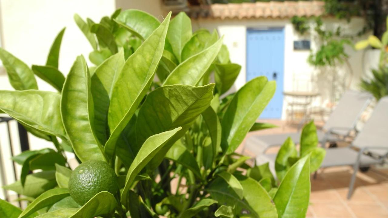 Casa Romero Lliber Экстерьер фото